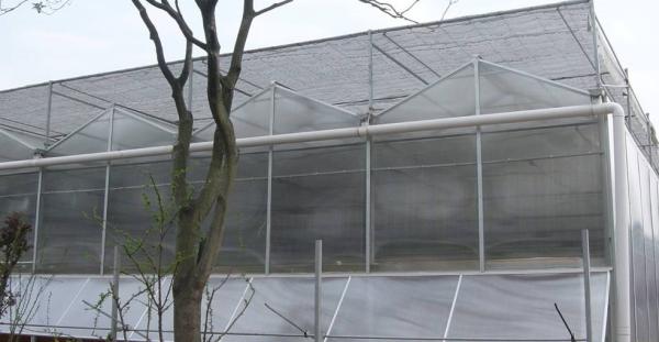 Agricultural Vegetable Tunnel Multi-Span Plastic / Poly Greenhouse