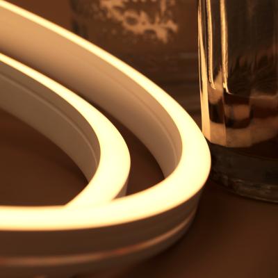 RGB Color Change Waterproof Neon Lights DC24 IP67 For Outdoor