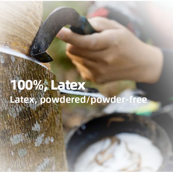 Белые устранимые перчатки латекса слегка напудрили резиновые очищая перчатки 100 ПК/коробка