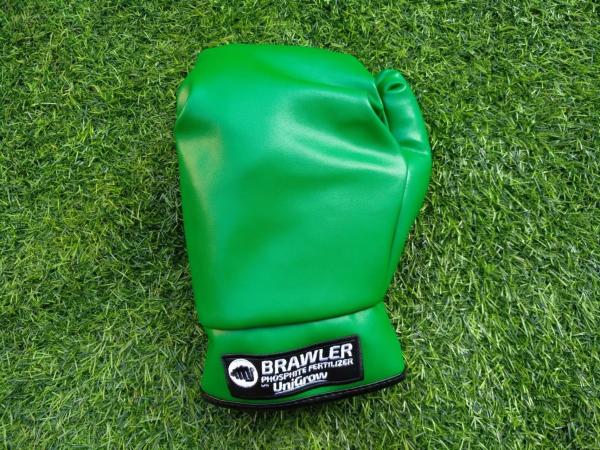 golf head cover, club covers , Golf headcover , golf boxing glove cover  , driver head cover