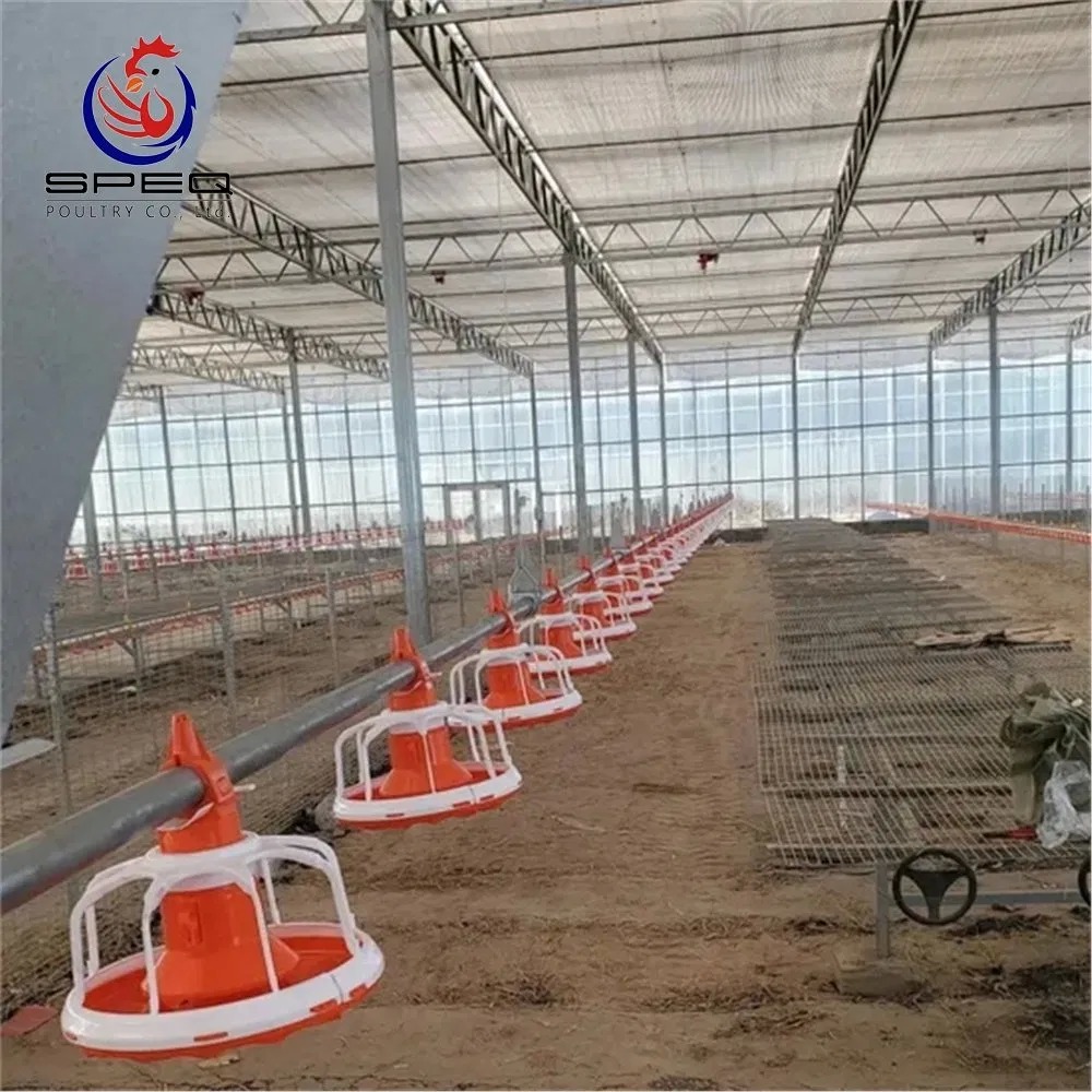 Automatic Poultry Feeding Pan Broiler Farm Floor Raising System