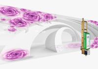 Faixa clara uv de Customizable Blank Automatic da impressora da parede do Inkjet 3d CMYK