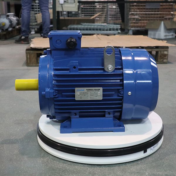 AC Electric 3 Phase Induction Motor FUJIAN MINDONG Motor 400V 50HZ Stainless Shaft