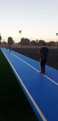 O PE espuma almofada artificial de choque do relvado foi a base da espessura personalizada resistente UV 8-30 milímetros