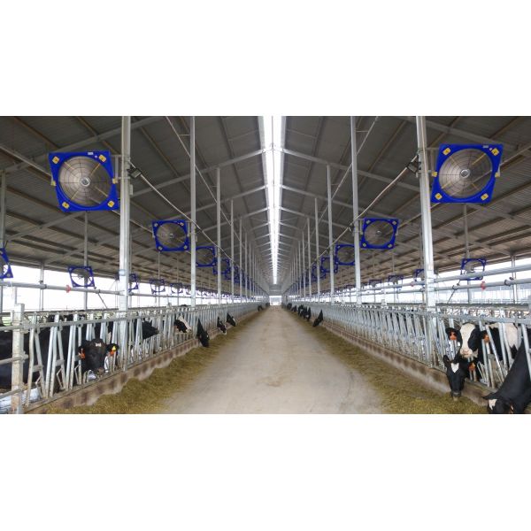 El ventilador industrial Terrui es la solución de refrigeración definitiva para su negocio