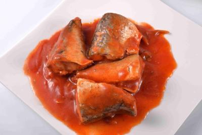 Tin Packing Mackerel Canned Fish In Tomato Sauce FDA HACCP Certification