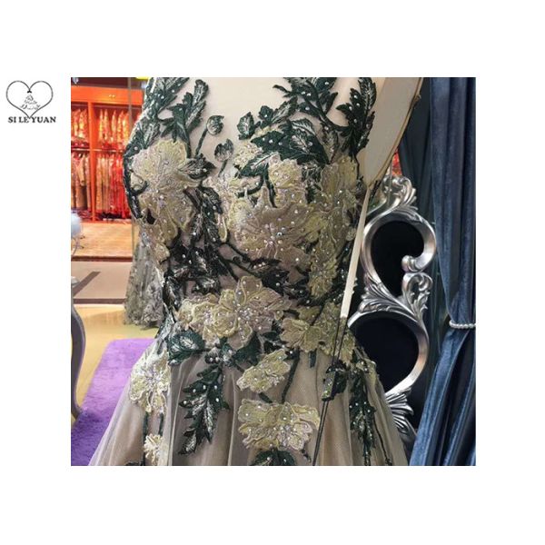 Sleeveless Backless Ball Gown , Champagne Tulle Prom Dress Embroidery Flowers