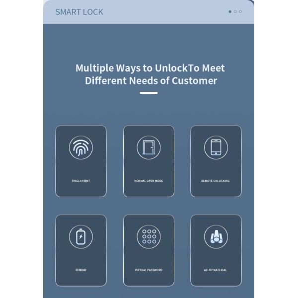 TuyaSmart TTlock Wifi Door Lock Отключается с помощью отпечатков пальцев