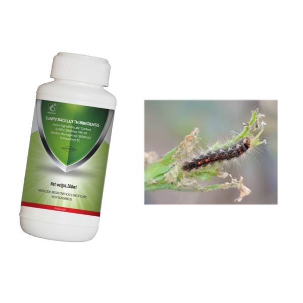 Tea geometrid killer pesticide EoNPV Bt Long-term effect harmless to human animals