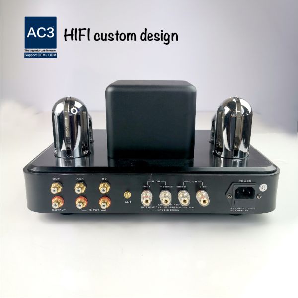 USB SD APE WAV 2 Channel Mini Tube Amplifier