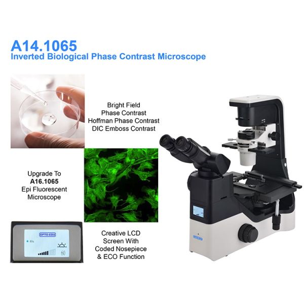 OPTO EDU A14.1065 Tilting Inverted Phase Contrast Microscope