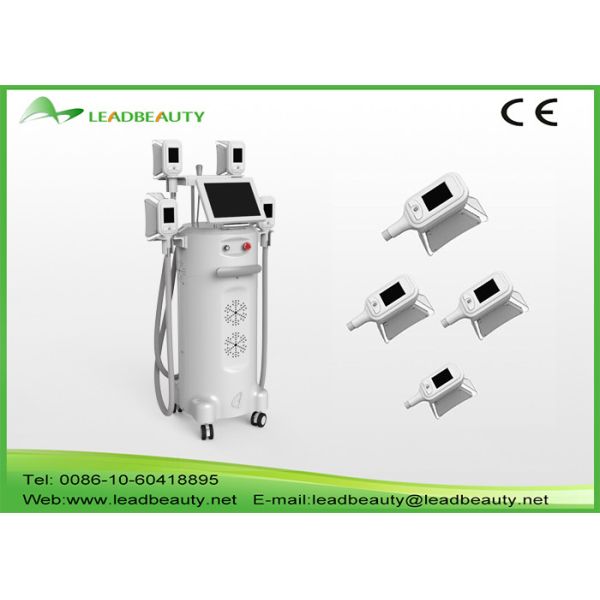 Vertical 2000W fat freeze Cryolipolysis slimming machine with 4 handles cooling scupting machine
