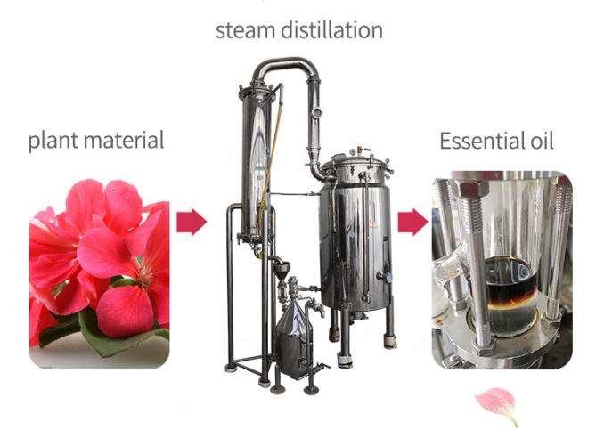 20kg/batch Capacity Small Oil Vacuum Distillation Machine for Eucalyptus Essential Oil Extraction