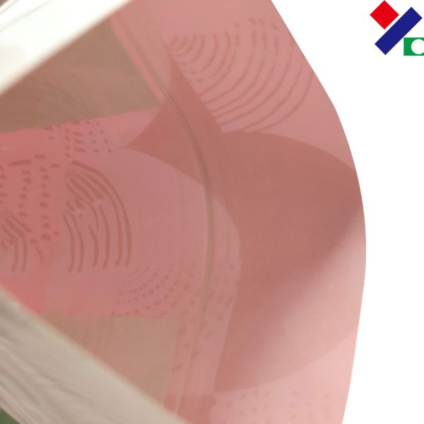 Compostable упаковка кофе 500Gram 1000Gram кладет в мешки с молнией