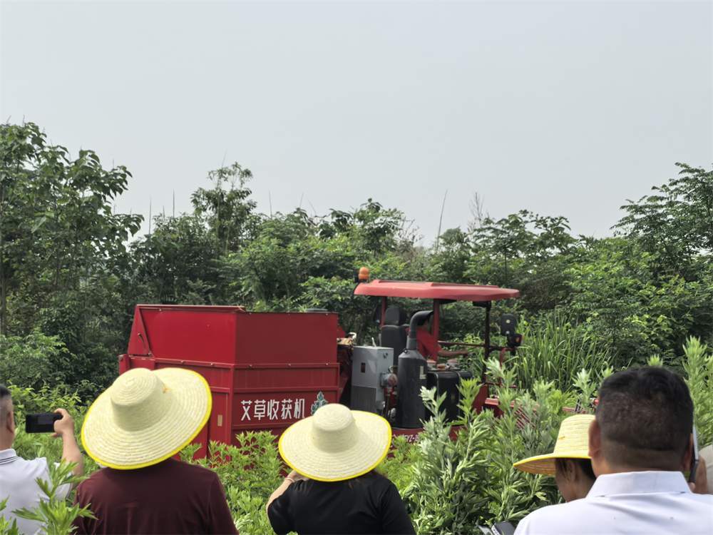 Hubei Yishiyuan Chinese Mugwort Biotechnology Company Limited