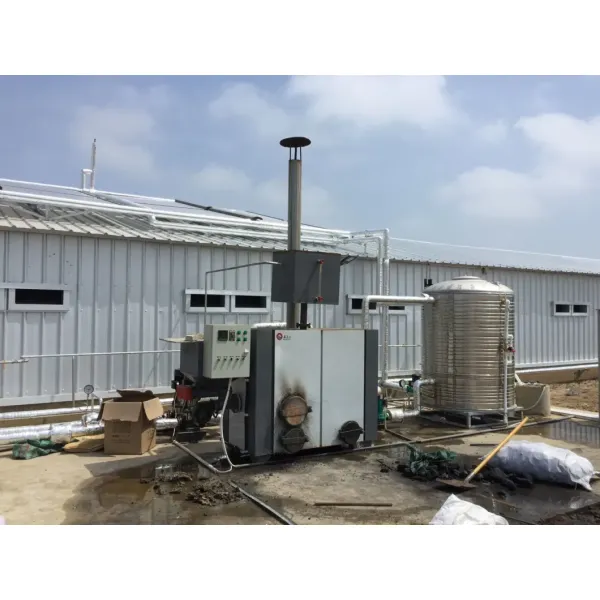 CE Livestock Farm House Steel Structure Chicken House And Equipment For Chicken