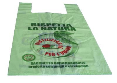 Environmental Protection Plastic Shopping Bags With Handles Gravure Printing
