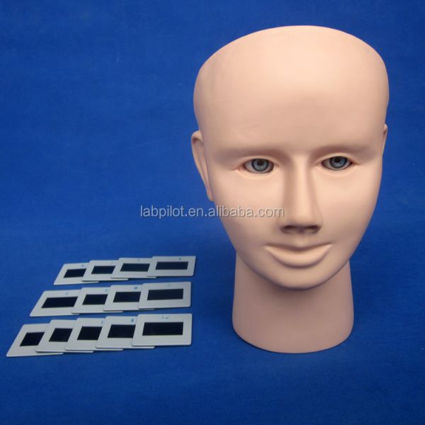 Manikin for Advanced Human Eye Examination Training Simulator Retinopathy Fundus Model