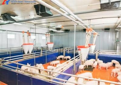 Chambre de porceries préfabriquée en acier