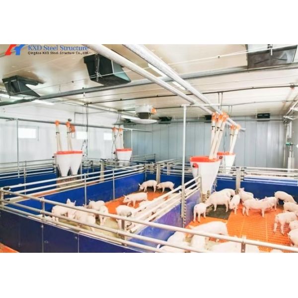 鋼製の枠 豚屋 鋼製の構造 豚棚