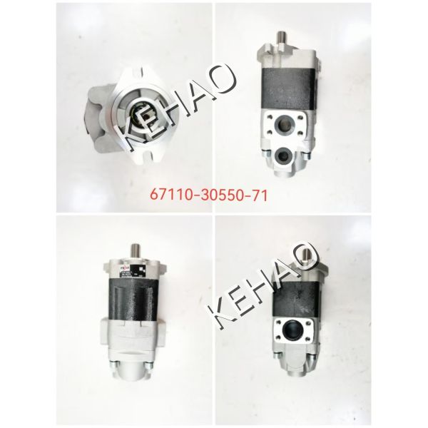 Customize Kawasaki Hydraulic Gear Pump 67110-30550 Iron and Aluminum alloy materials Oil Gear PumpTransfer Pump for Agricultural Machinery