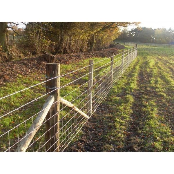 2.0mm Dia Galvanized Fixed Knot Wire Farm Fencing