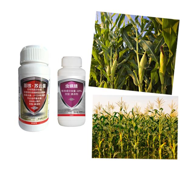 AcNPV Bt Chlorfenapyr SC Fruit Tree Pesticides Cabbage Root Maggot Insecticide
