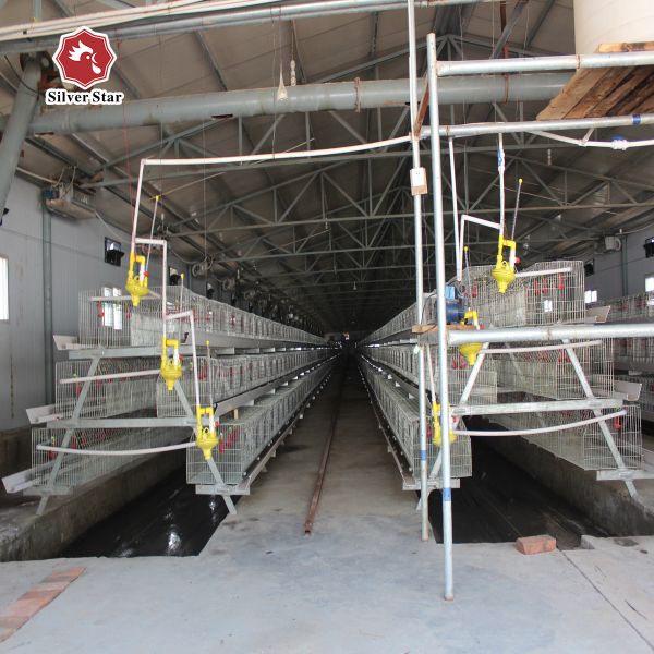 Клетка курицы цыпленка сельского хозяйства птицы клетки цыпленка слоя 200 цыплят автоматическая