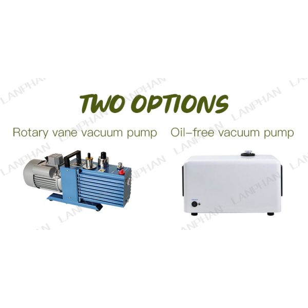 40kg Berries Fruit Vacuum Freeze Dryer Lyophilizer Candy Cucumber 8 Trays Freeze Dry Machine