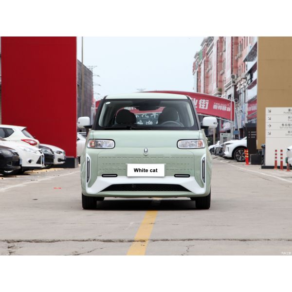Pure Electric 48 Horsepower ORA White Cat 305km Range 4-Seater Hatchback Energy Vehicle 0km Used Mini Electric Car Adult
