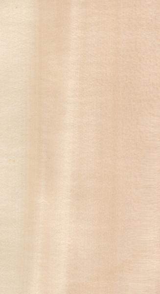 Real Wood Veneer Basswood Slice Cut For Size 13cm Up Flat Cut Straight For Cabinet Face Sheet