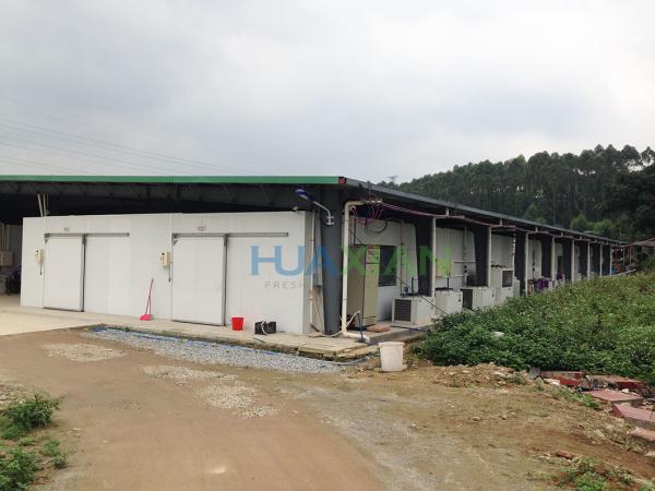 Vegetable/Fruit/Meat/Shrimp/Fish Walk in Storage Freezer with Condenser Units Refrigeration Equipment