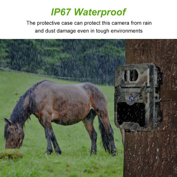 2,4 живая природа LCD 30MP HD дюйма охотясь чувствительность камеры PIR