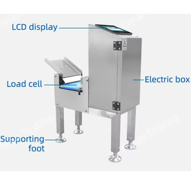 Automatic Professional Small Platform Conveyor Belt Weighing Scale for Food Industry for Snacks Small Items Plastic Material