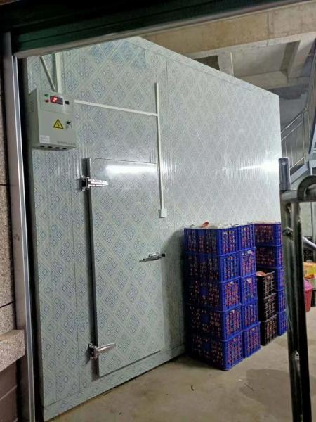 Armazém Alimentos Armazém Frio Caminho de Entrada Congelador Armazém Frio Remoto