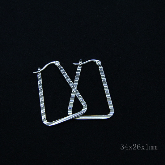 Classic 316L Stainless Steel Fashion Jewelry Earrings Hoops Earrings LEH25