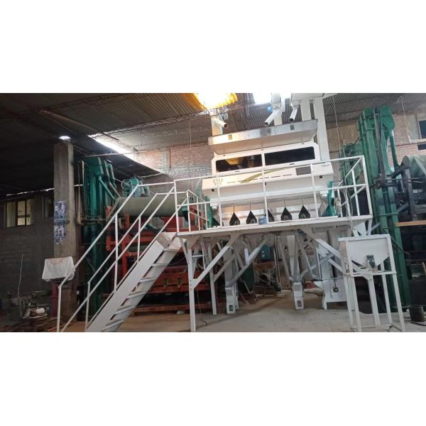 600mm Belt Width High Capacity Juniper Color Sorter Dried Mulberries Blueberry Grain Color Sorting Machine