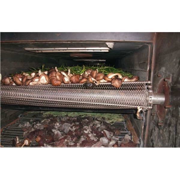 SteamTunnel Fruit Drying Equipment , Stainless Steel Fruit Dehydration Machine