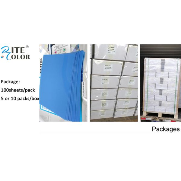 Радиология рентгеновского снимка ЛЮБИМЦА фильма медицинского отображения 13 x 17 дюймов голубая струйная