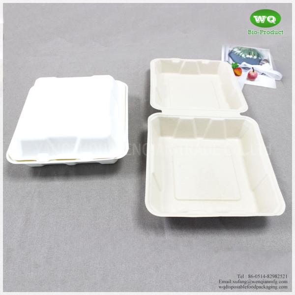 Green And Energy 8*8 And 9*9 Inch1-Compartment, Compostable Clamshell, Natural Bagasse Take-Out/To-Go Food Boxes
