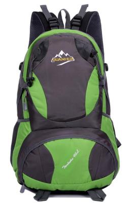 big capacity / backpack / hiking bag / Nylon hiking backpack /sports bag