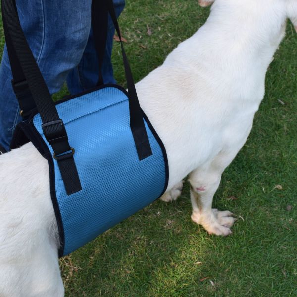 Safety Pet Dog Lift Harness No Pull Help The Old And Sick OEM Service