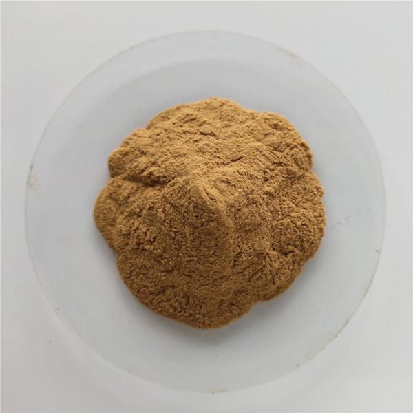 Anti-inflammatory Cortex Phellodendri Extract