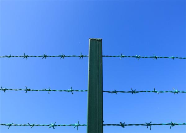 PVC Coated Lowa Barbed Wire Green Security Fence On Chain Link Fence Top