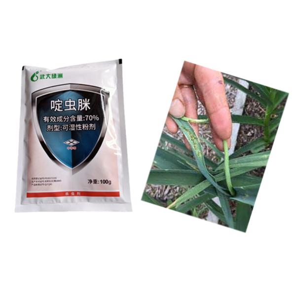 Agrícola 70% Acetamiprida WP Aphids Negros Bioquímicos Pesticidas Aphids Vegetais Spray