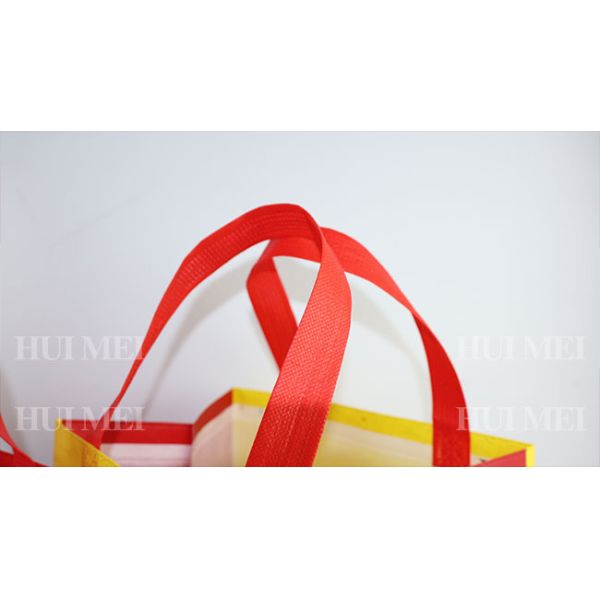 Сумки полипропилена Tote Eco дружелюбные не сплетенные Biodegradable срывают устойчивое