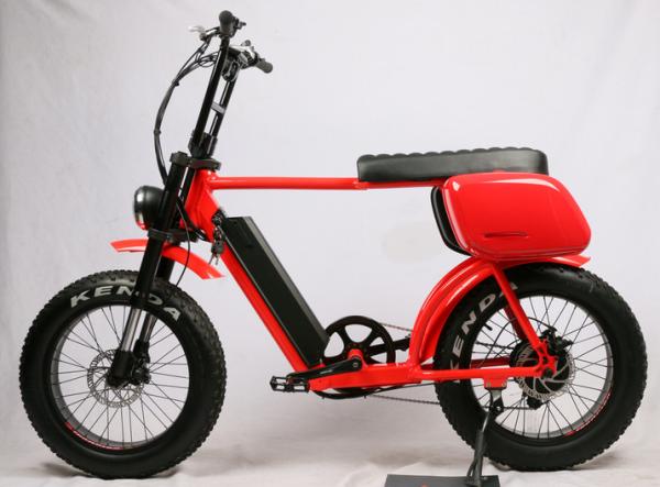 48V 750W New design 2022 Electric Fat Tire Bike , Electric Fat Tire Bicycle EN15194