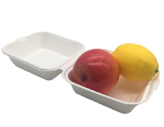 6 Burger Box Food Grade Sugarcane Bagasse Take Away Food Box