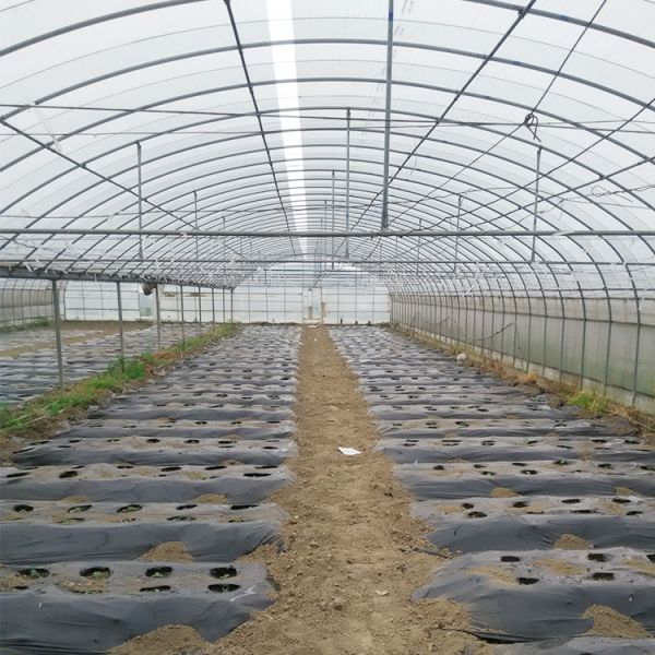 Multi Arch High Tunnel Greenhouse Hydroponics Temperature Control For Farming