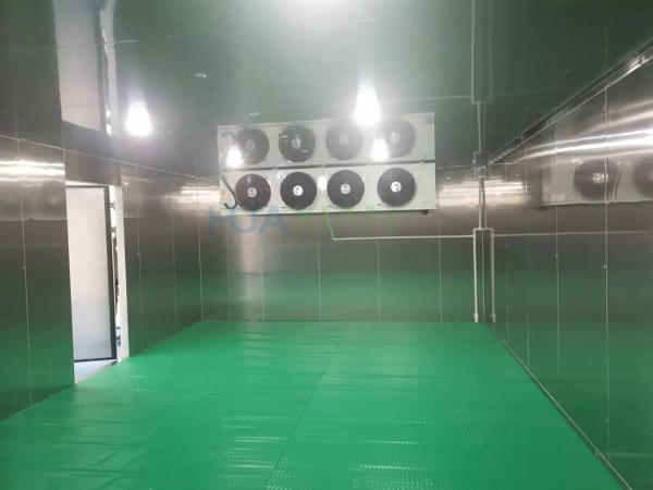 100 Square Meter Cold Storage Room -18­°C Stainless Steel Frozen Meat Freezer Room